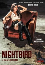 Nightbird izle